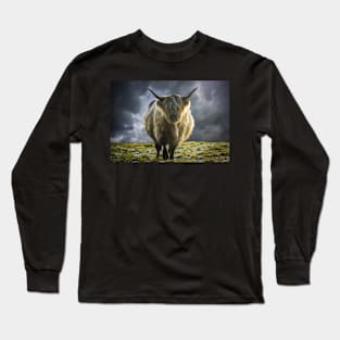 Scottish Highland Cow In The Winter Sun Long Sleeve T-Shirt